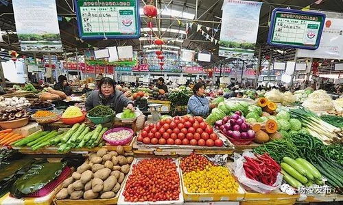 戰疫情穩民生 楊凌多措并舉保障日用品批發市場供應