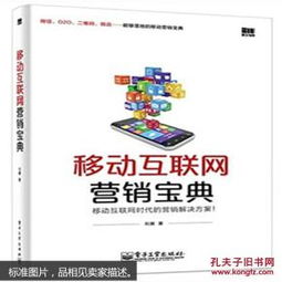 移動互聯(lián)網(wǎng)營銷寶典 互聯(lián)網(wǎng)銷售的策略與實踐