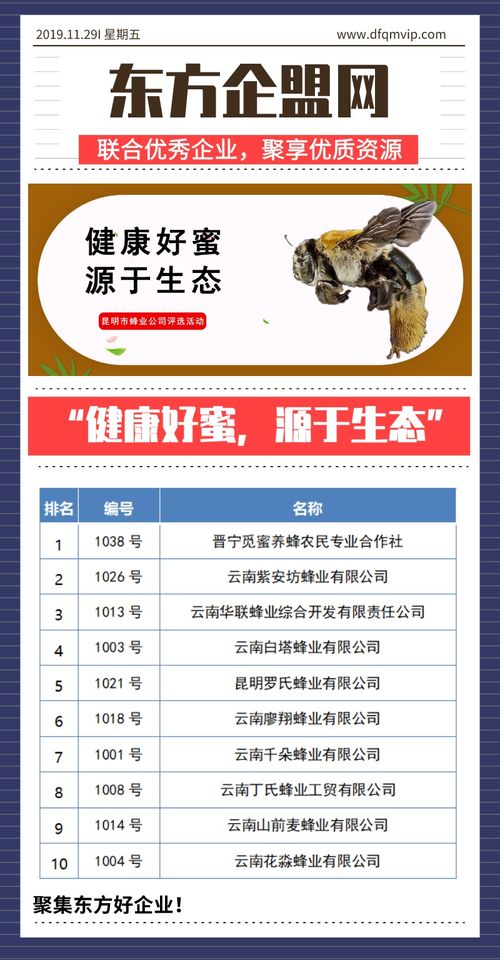 健康好蜜，源于生態——昆明市蜂業公司評選活動信息技術咨詢服務方案